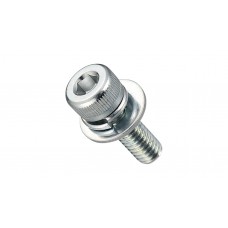 HEXAGON SOCKET CAP SCREW(W/SW,FW TRIVAL)