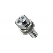 HEXAGON SOCKET CAP SCREW(W/SW,FW TRIVAL)